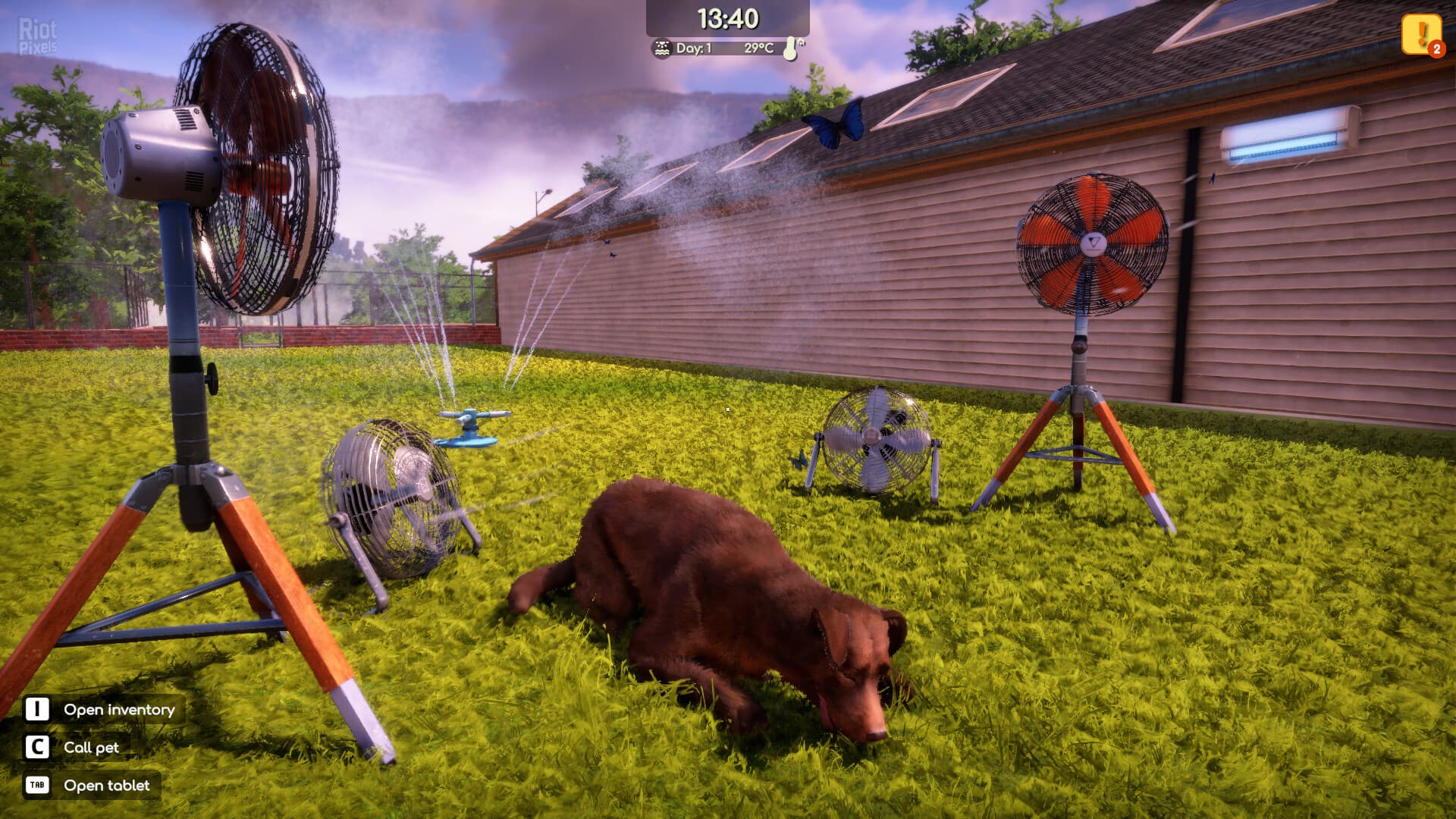 Animal Shelter 2 – v1.3.0 + 3 DLCs screenshot 6