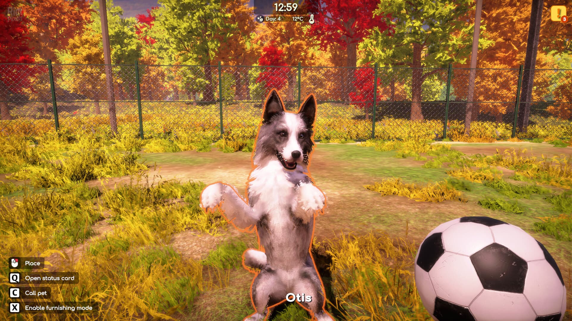 Animal Shelter 2 – v1.3.0 + 3 DLCs screenshot 3
