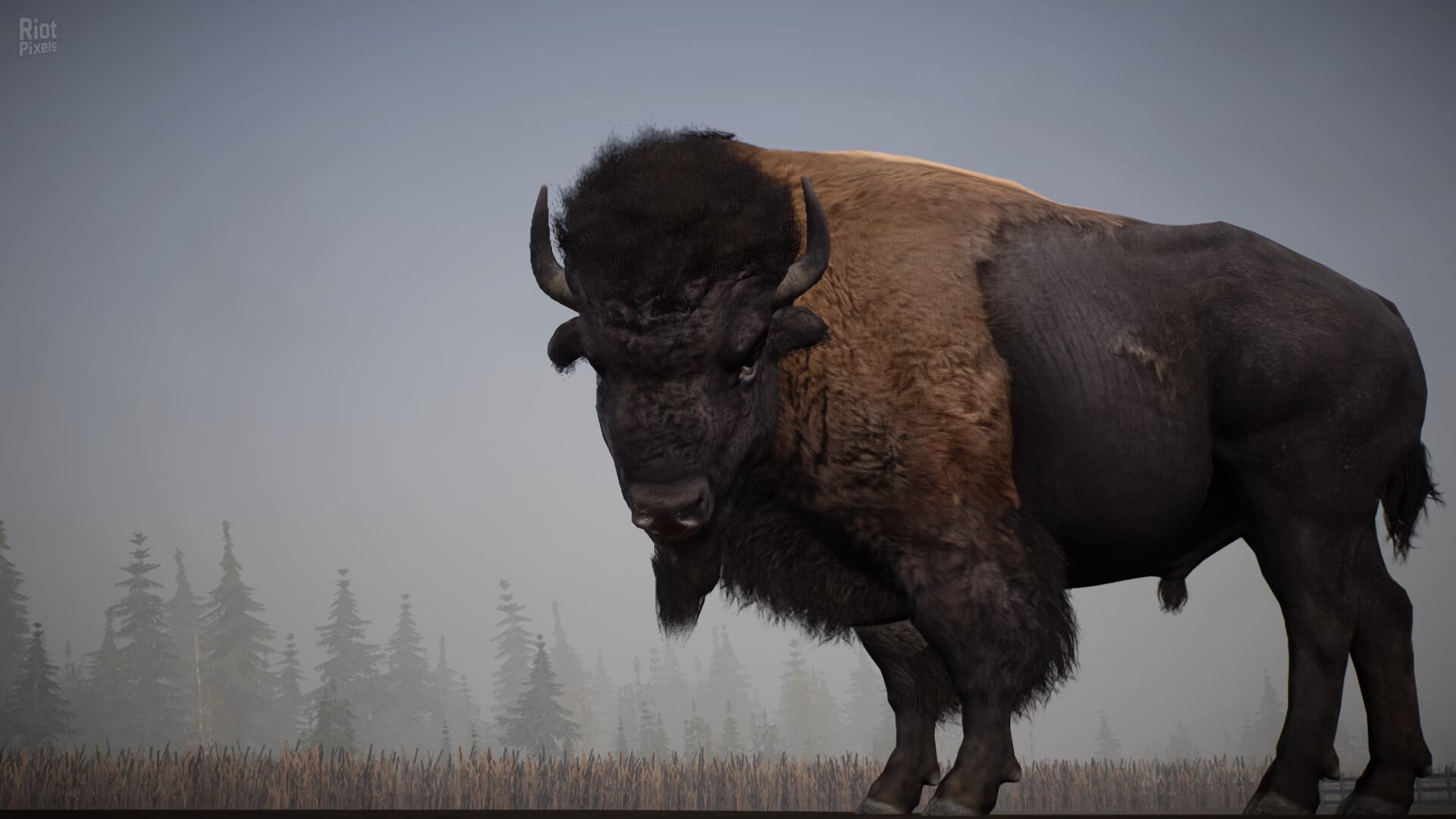Alaskan Road Truckers: Mother Truckers Edition, v1.6 + 5 DLCs screenshot 5