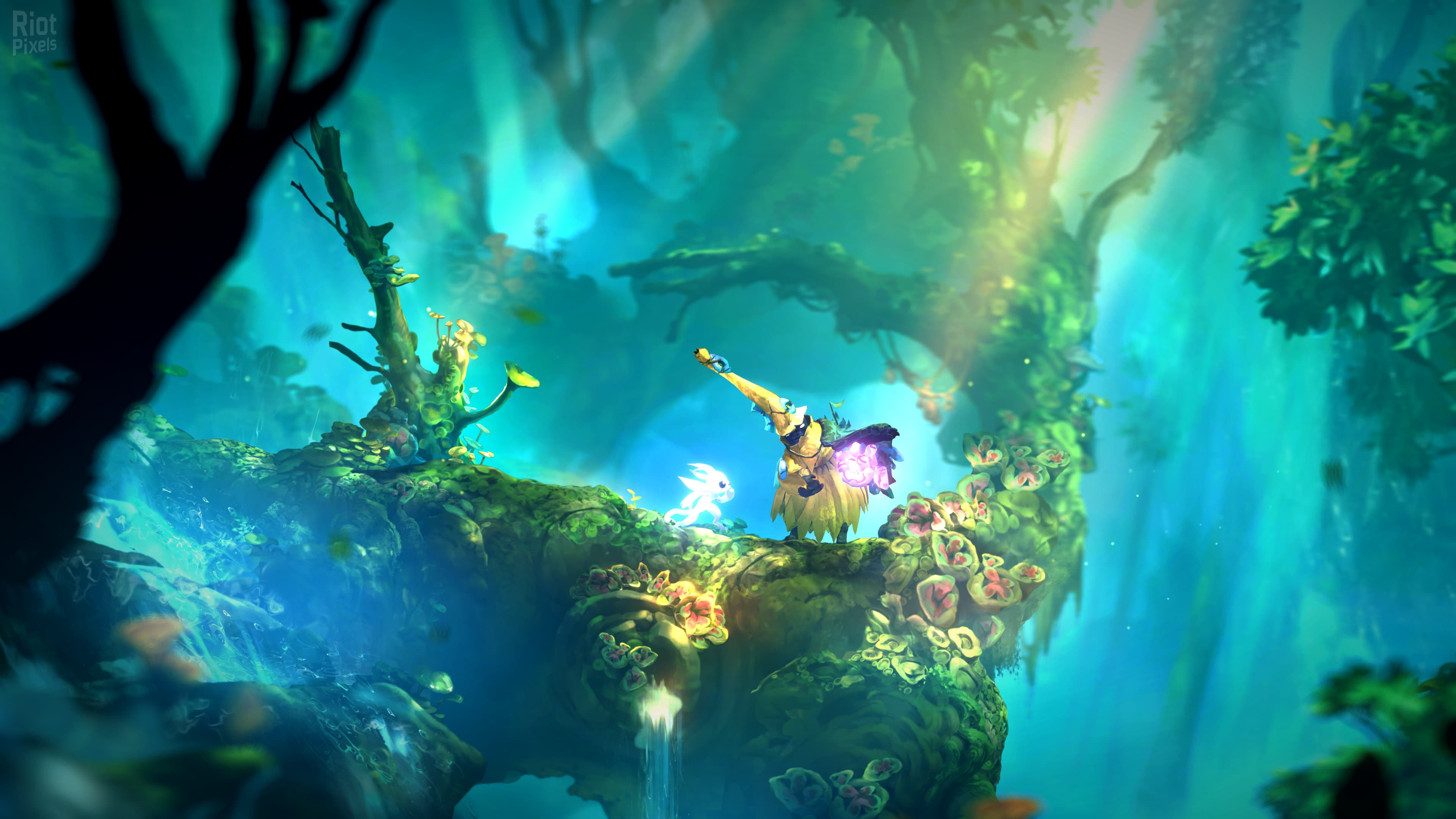 Ori and the Will of the Wisps screenshot 4