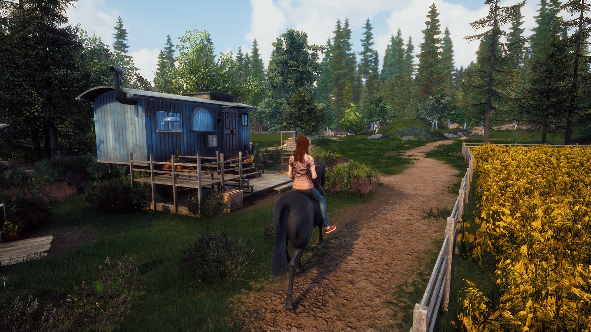 Windstorm Duology: Start of a Great Friendship v1.6.0 + An Unexpected Arrival v1.4.0 screenshot 1