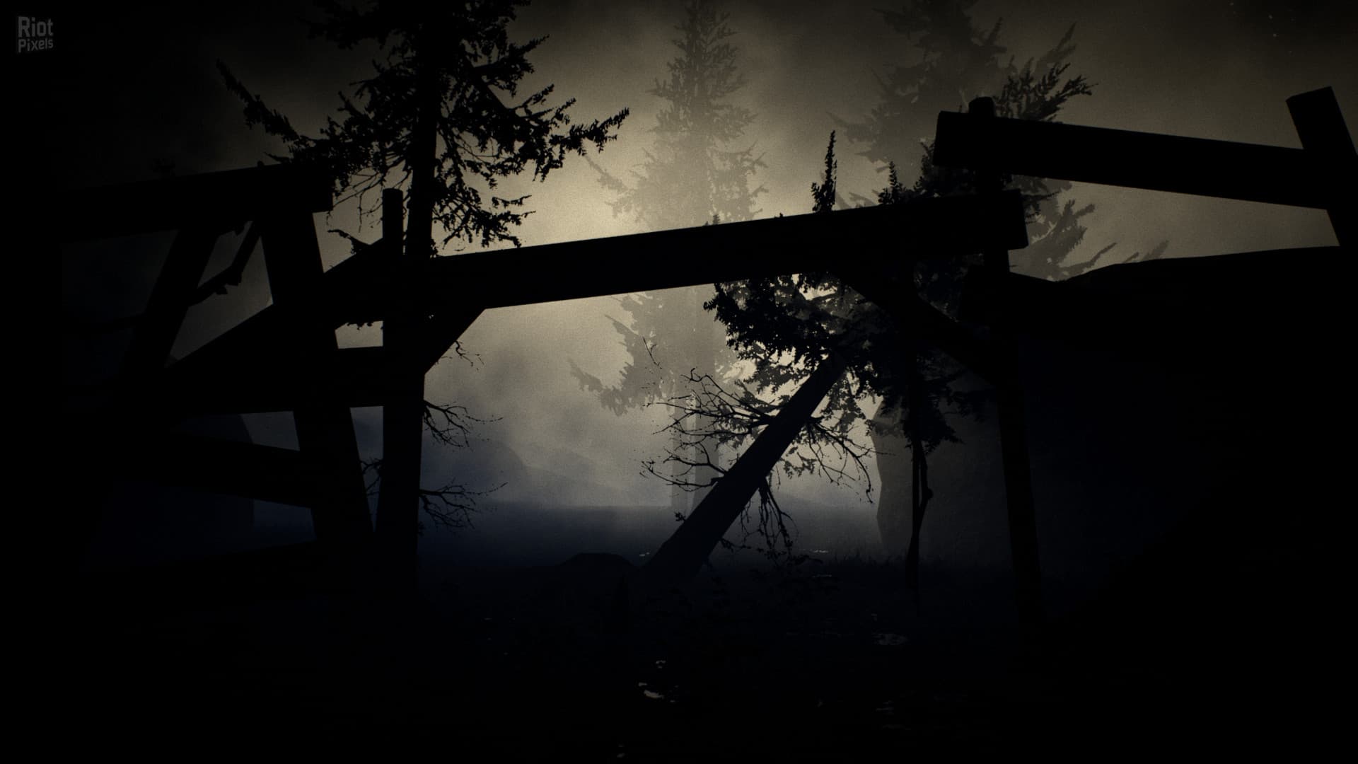 Raw Footage screenshot 5