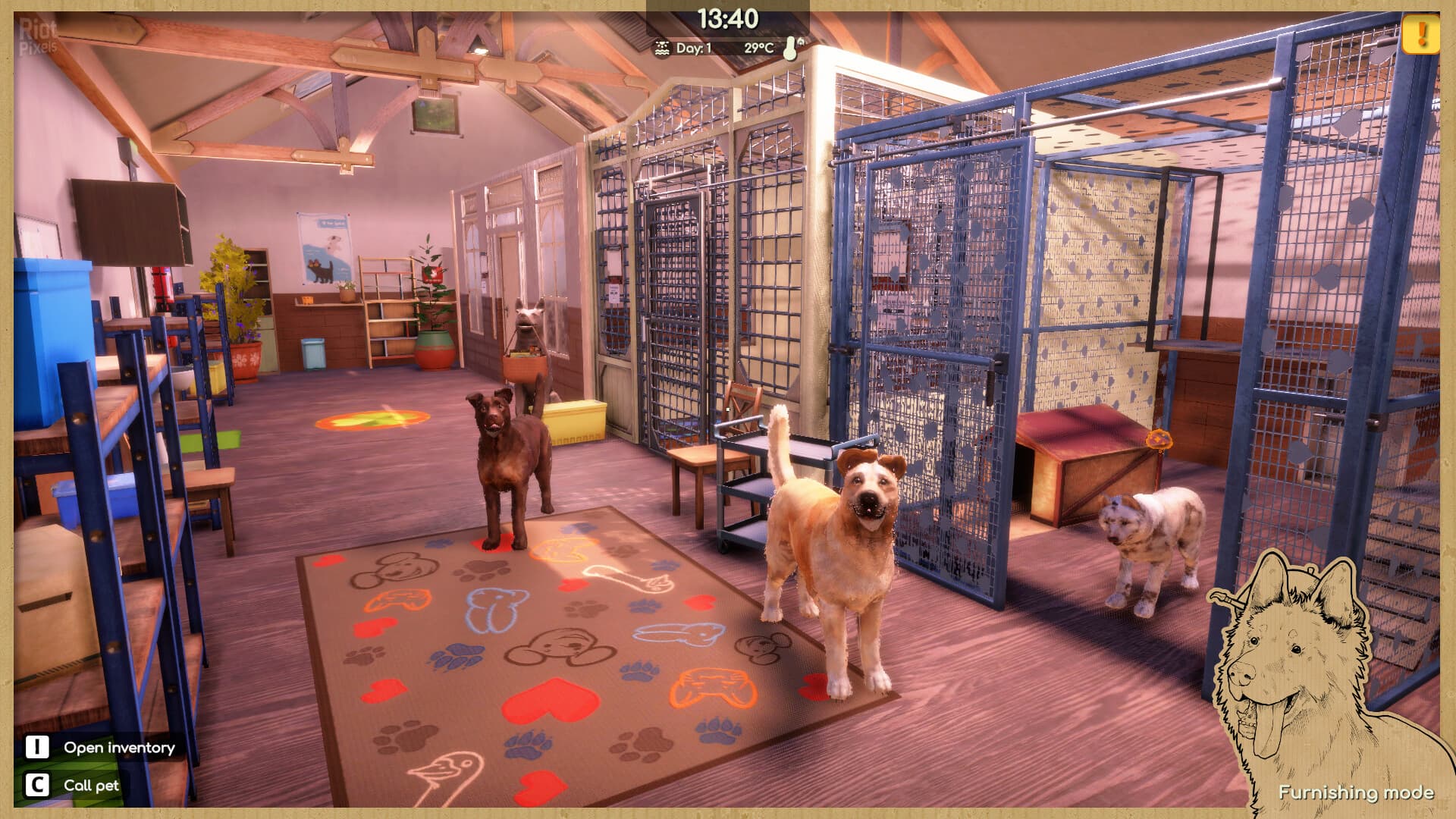 Animal Shelter 2 – v1.3.0 + 3 DLCs screenshot 4