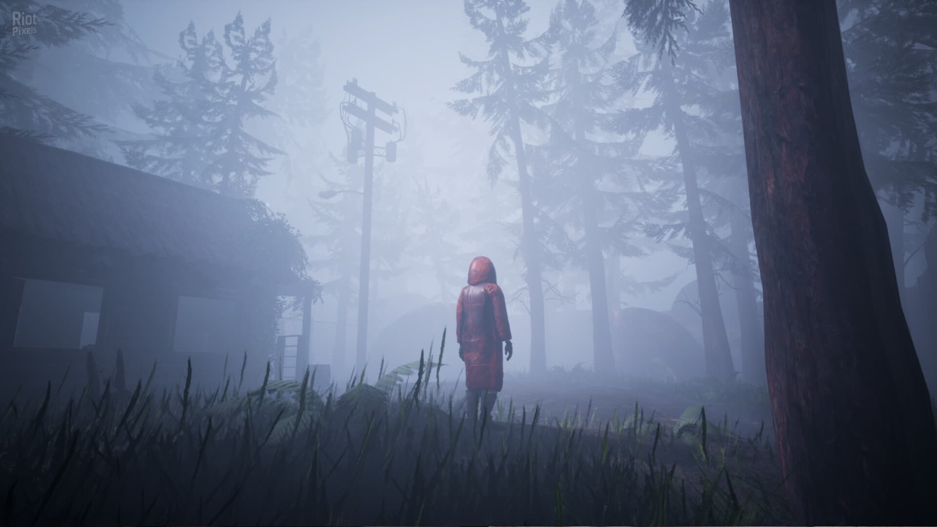 Veil of the Skies screenshot 5