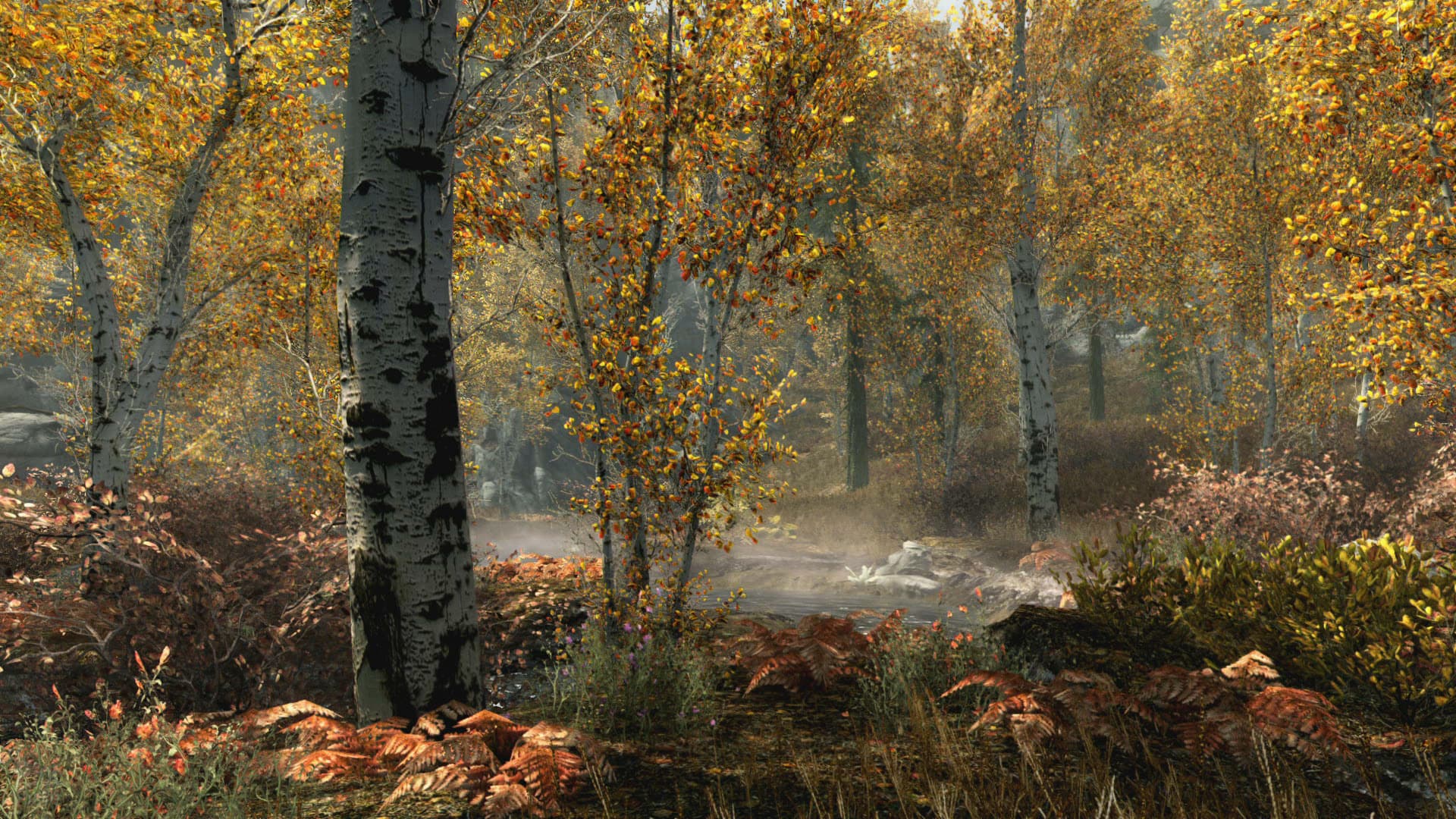 The Elder Scrolls: Skyrim – Special Edition – v1.5.97.0 + Creation Club Content screenshot 3