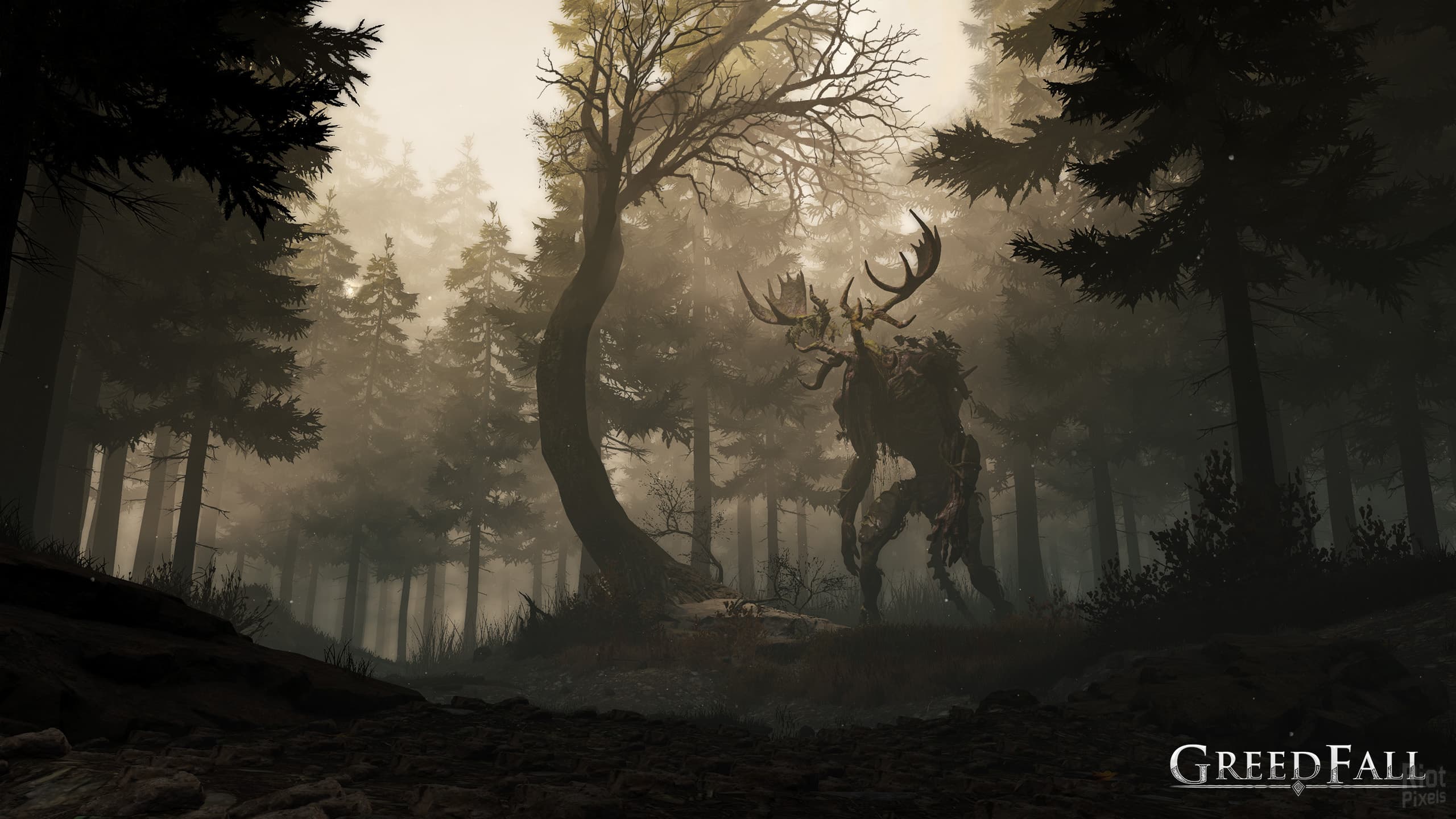 GreedFall: Gold Edition – Build 6892431 + 2 DLCs + Windows 7 Fix screenshot 2