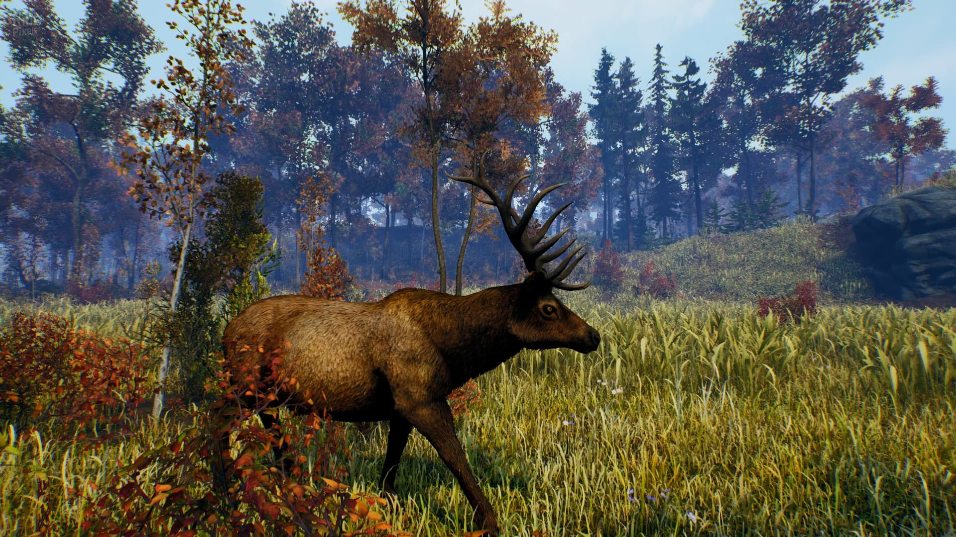 Open Country – v1.0.0.2636 screenshot 1