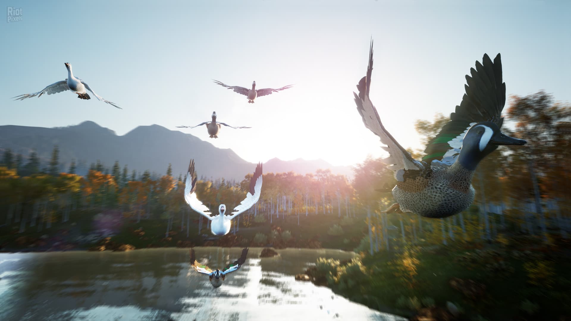 Hunting Simulator 2: Elite Edition – v1.0.0.311.66949 + 4 DLCs screenshot 6