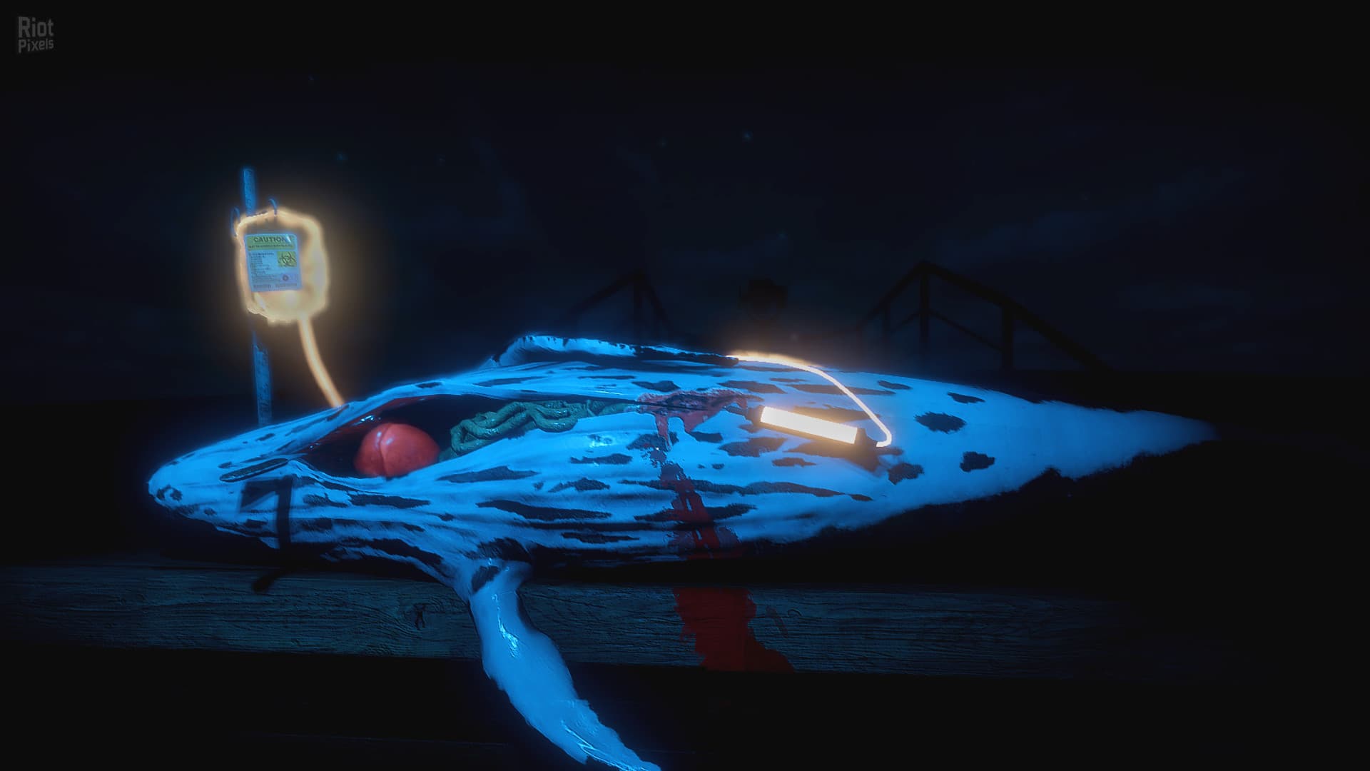 ZAAM – v1.03 screenshot 1