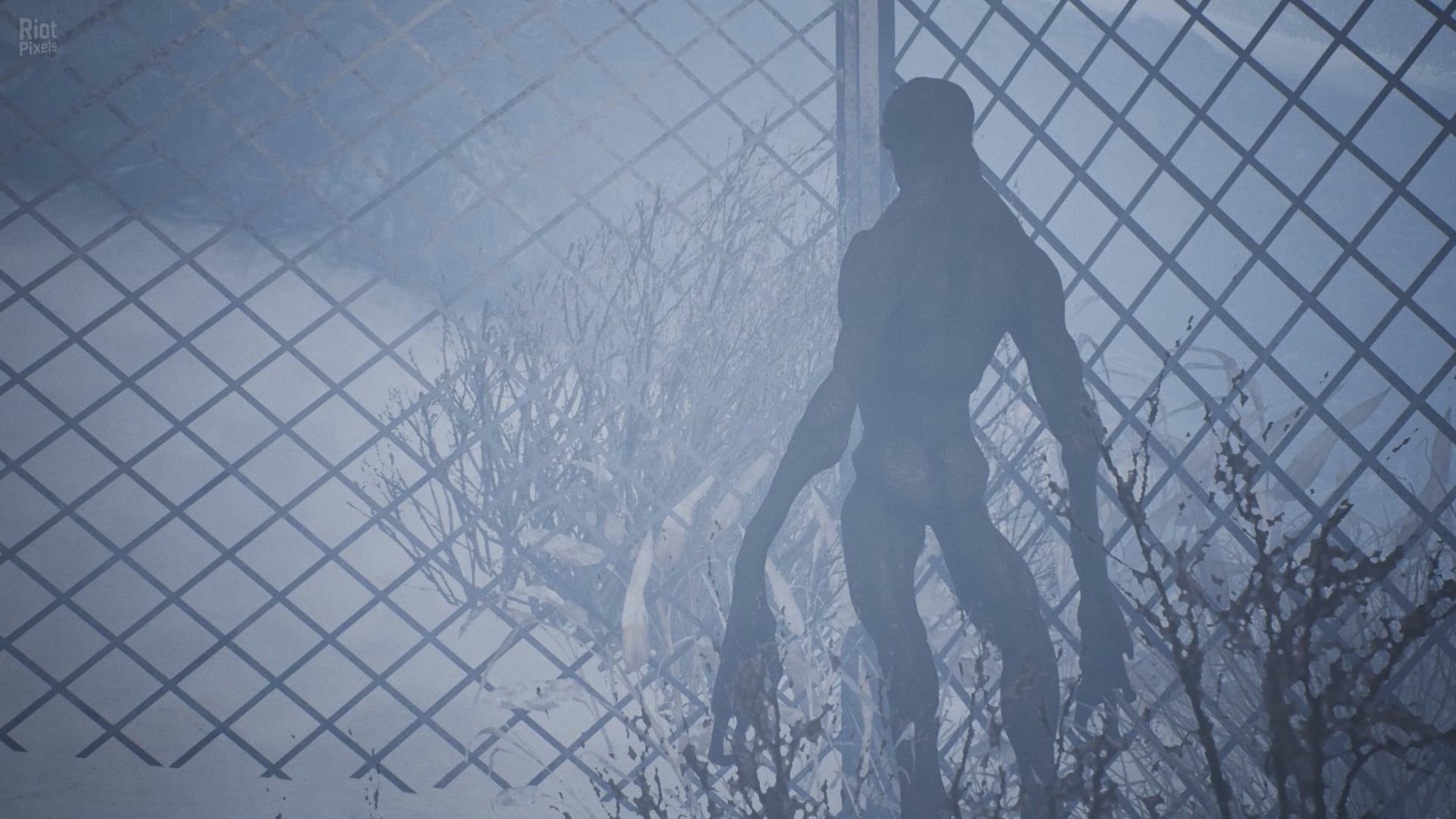 Raw Footage screenshot 2