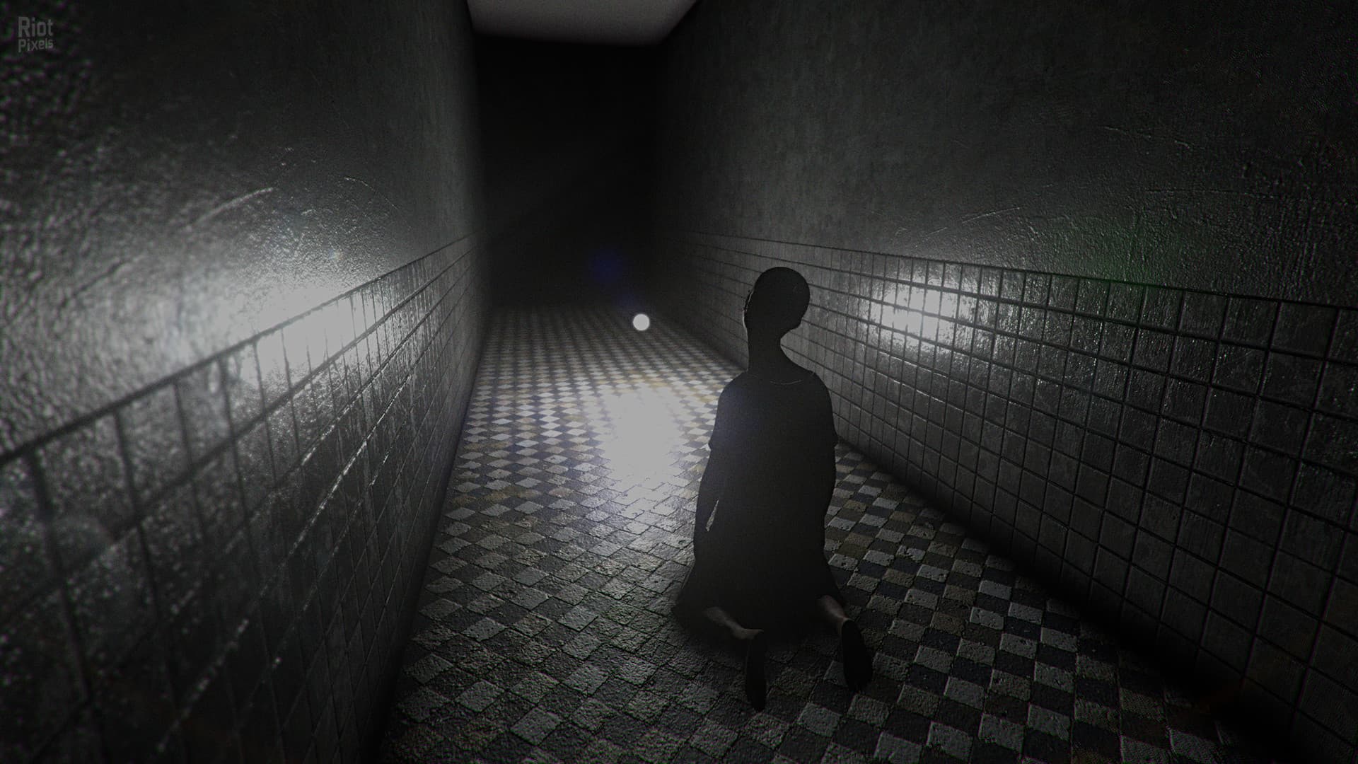 S.W.A.N.: Chernobyl Unexplored – v1.0.1160.0 screenshot 1