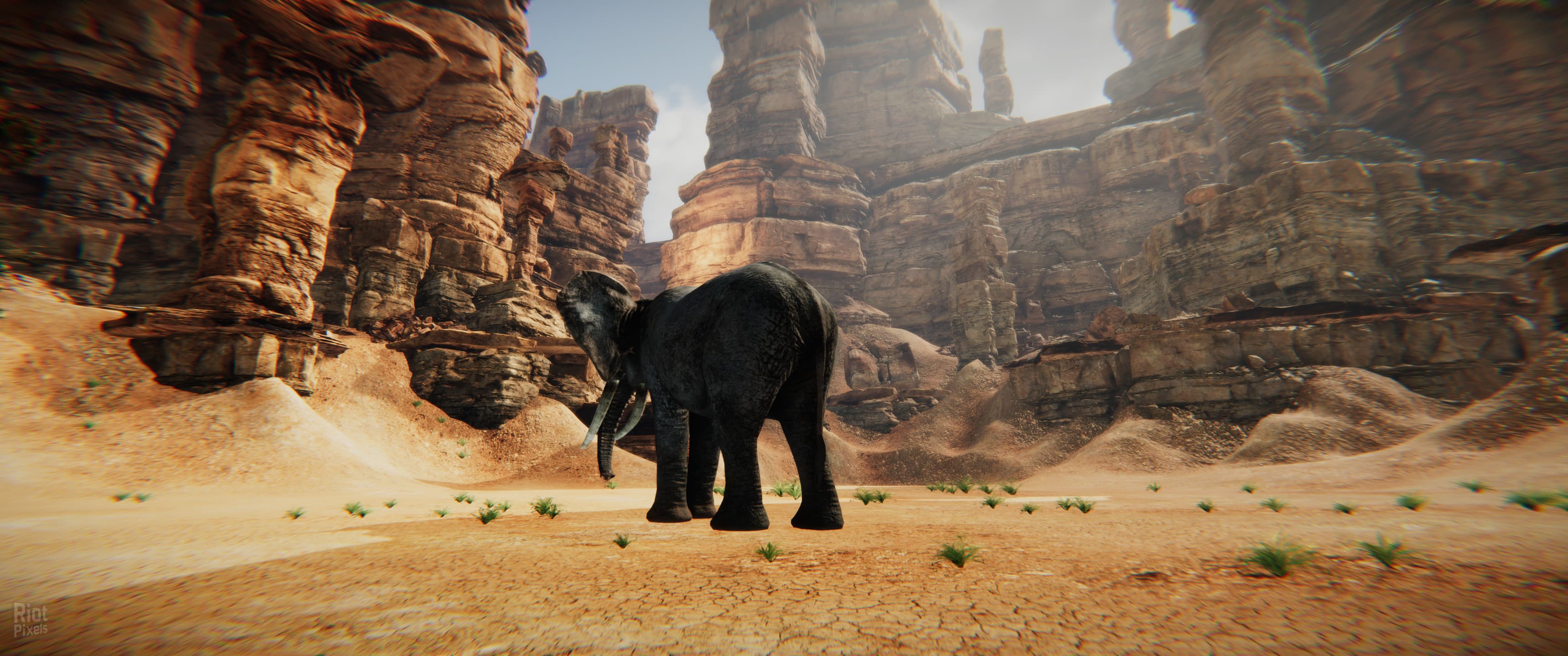 Animal Simulator screenshot 5