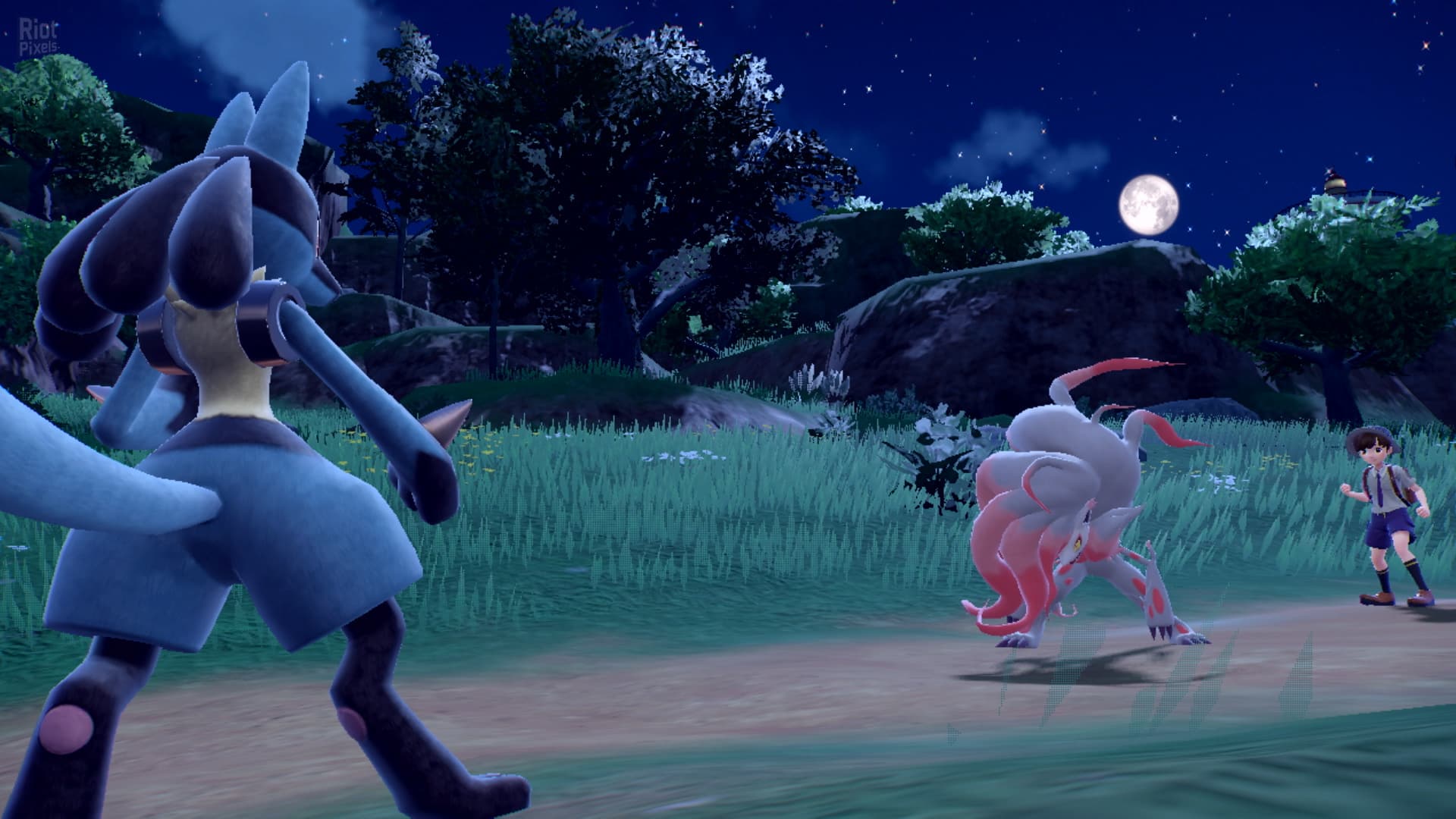 Pokémon: Scarlet/Violet – Double Pack – v1.0.1 + Ryujinx Switch Emulator screenshot 6