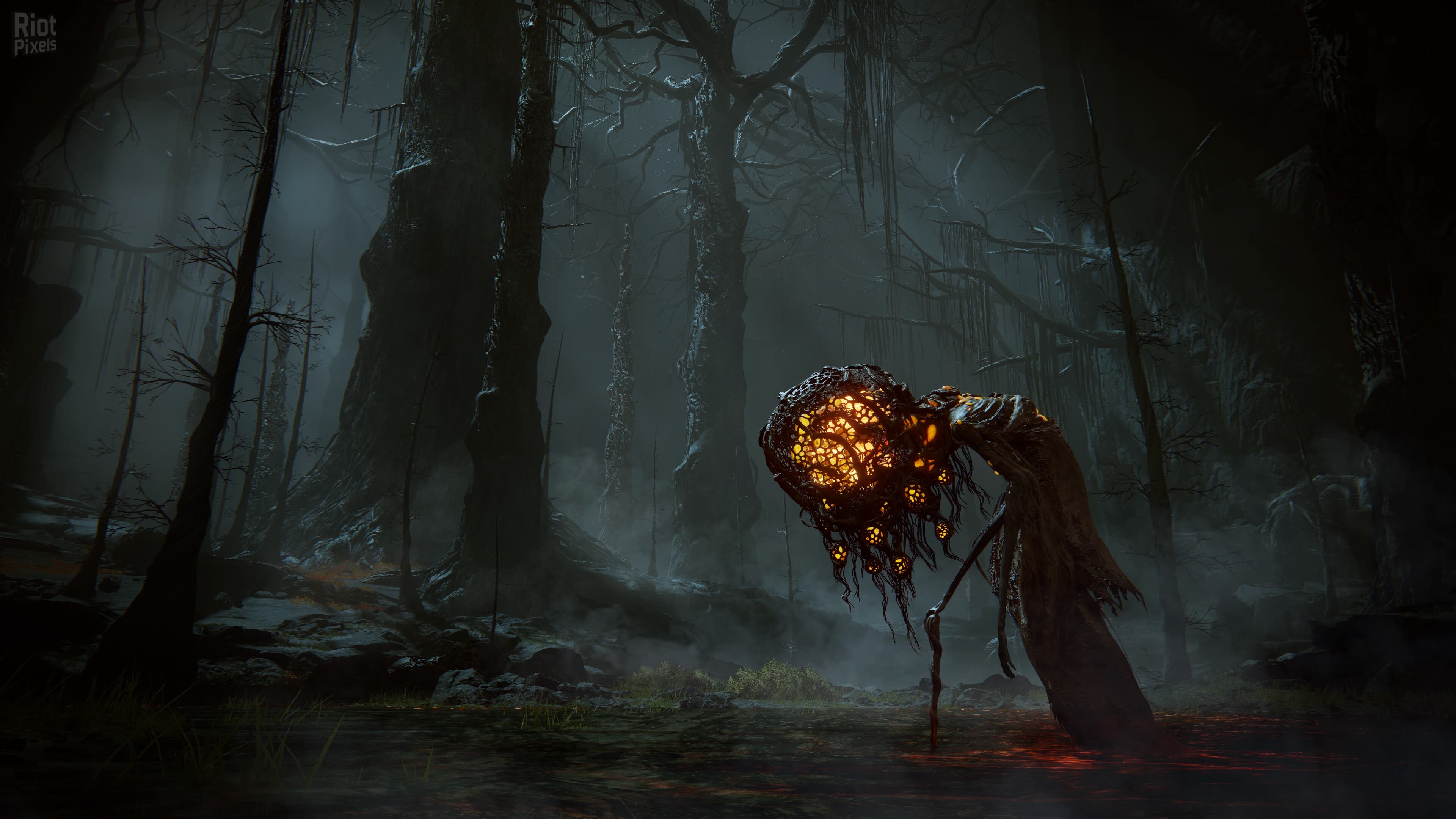 ELDEN RING: Shadow of the Erdtree Deluxe Edition, v1.12/v1.12.1 + 9 DLCs/Bonuses + Windows 7 Fix screenshot 6
