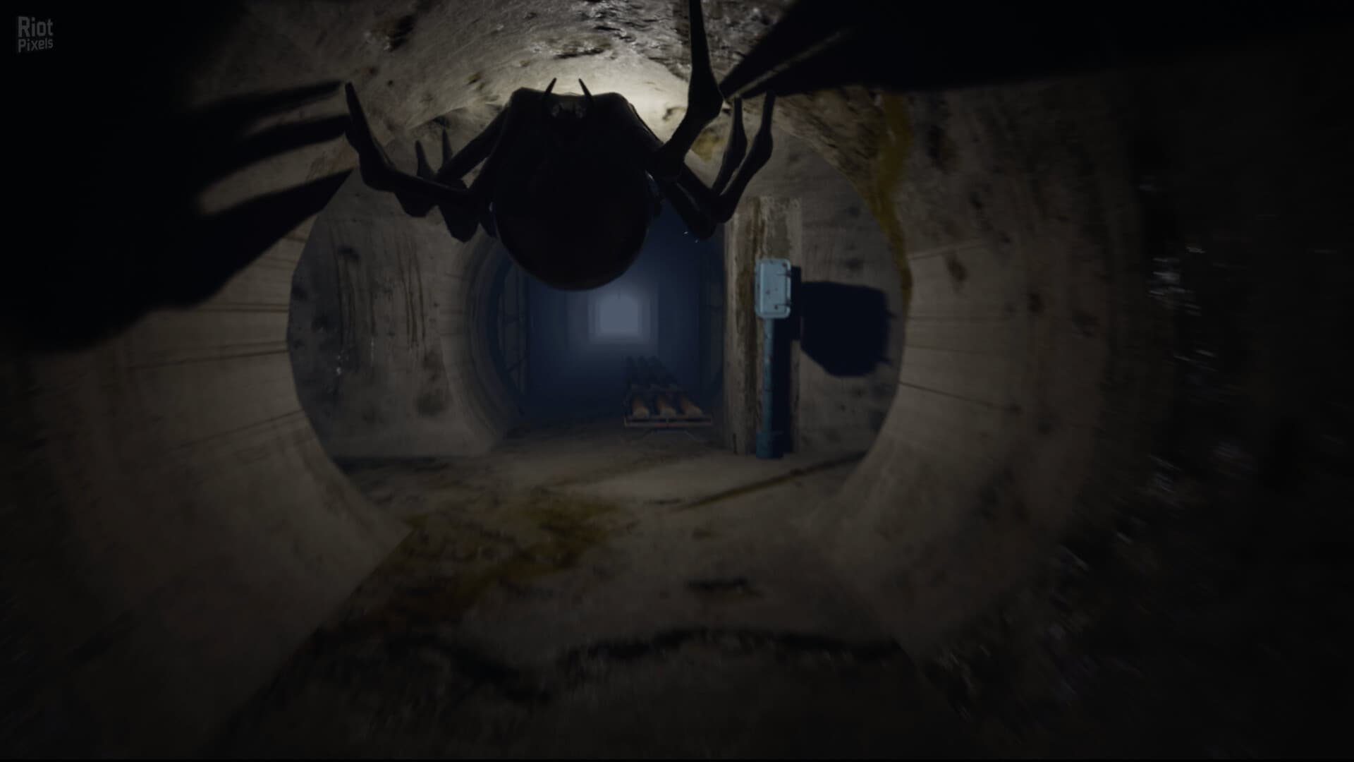 A Whisper in the Twilight: Chapter One screenshot 5