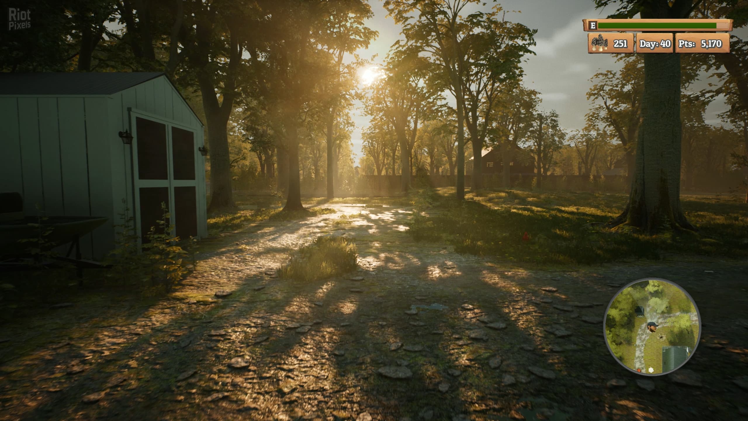 Morels: The Hunt screenshot 2
