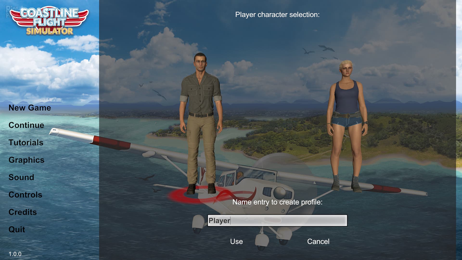 Coastline Flight Simulator screenshot 1