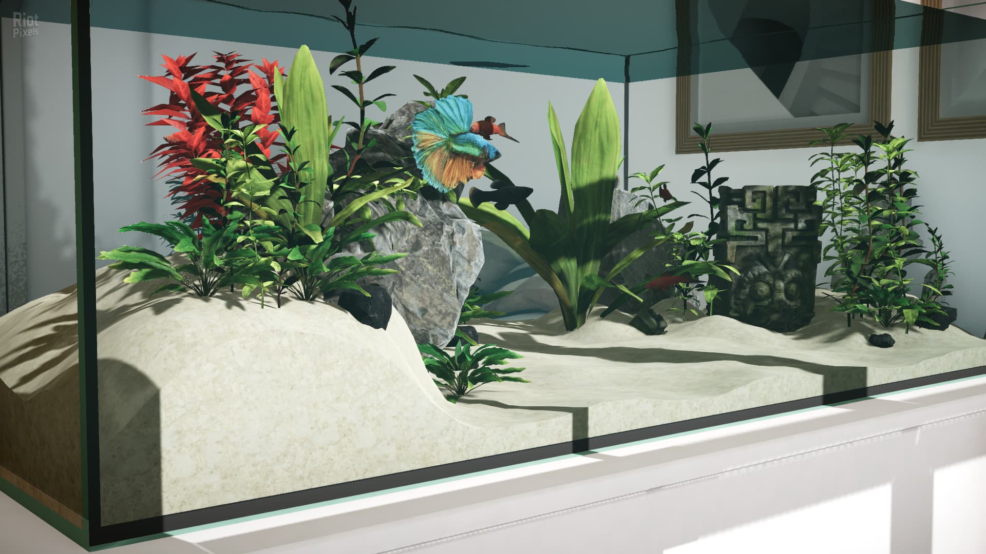 Aquarium Designer – Build 11514444 + 3 DLCs screenshot 2