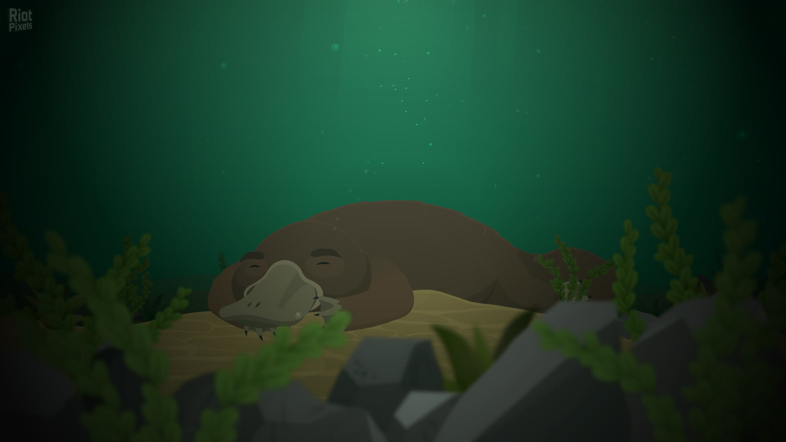 Repella Fella: Pirate Edition screenshot 3