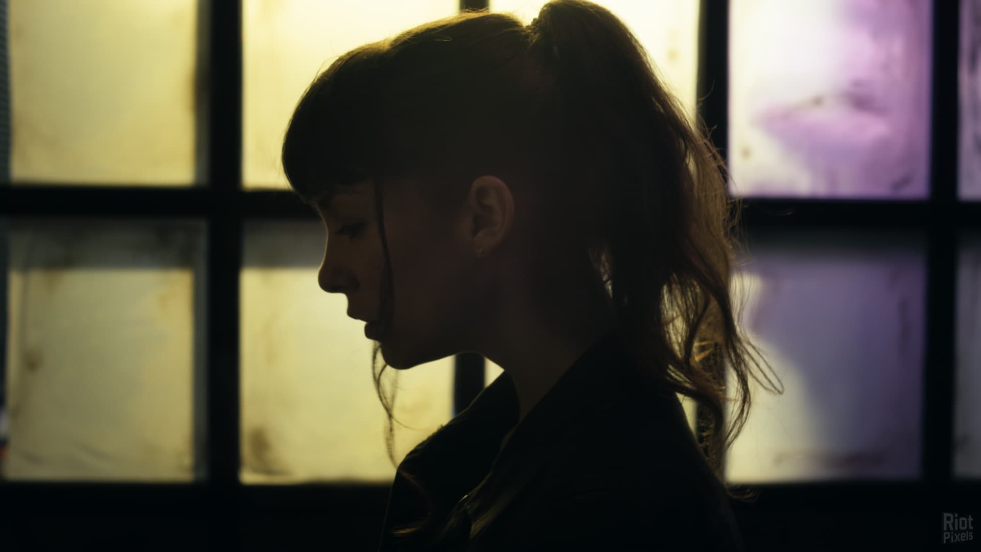 Erica screenshot 6