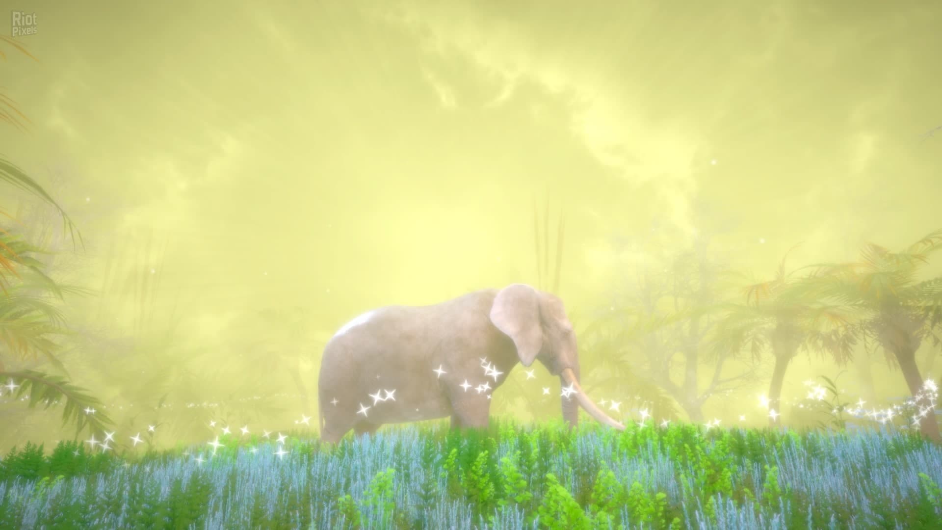 Hidden Treasures in the Forest of Dreams screenshot 5