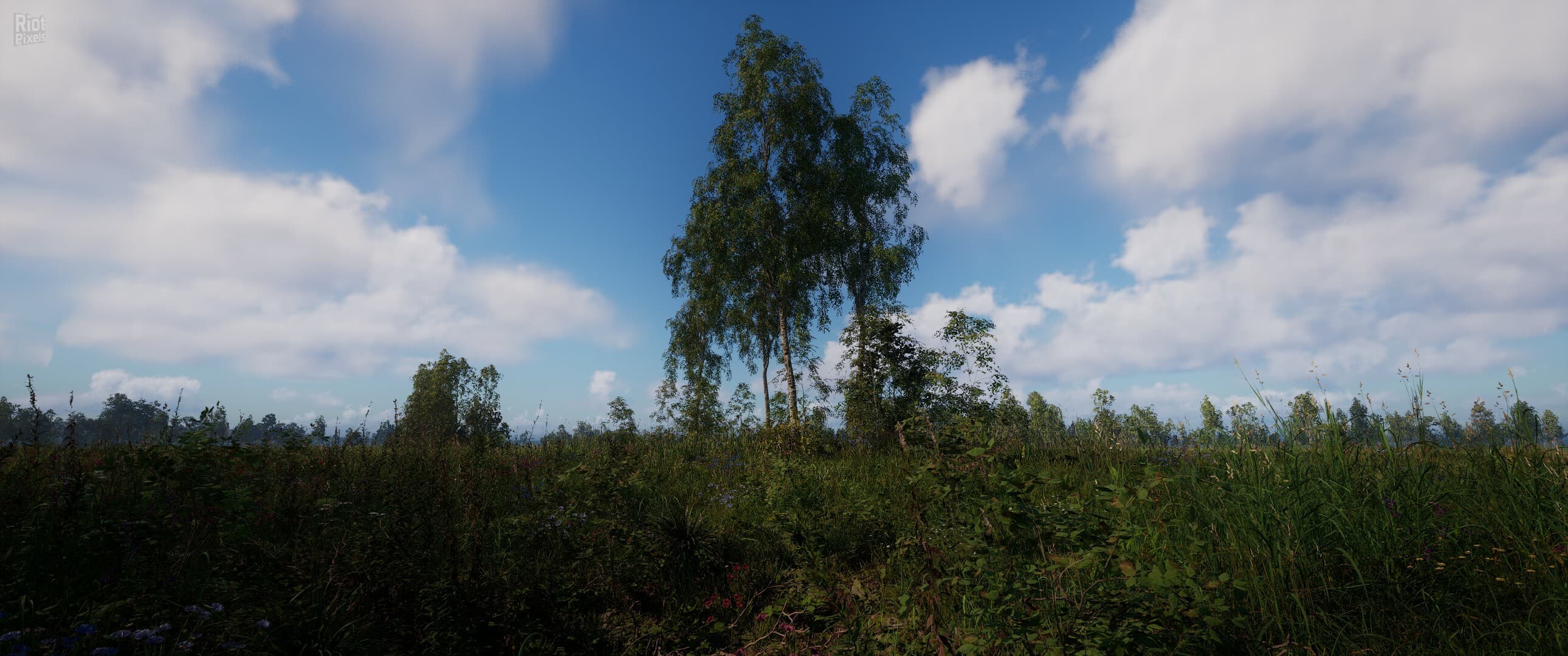 Russian Soul Simulator screenshot 3