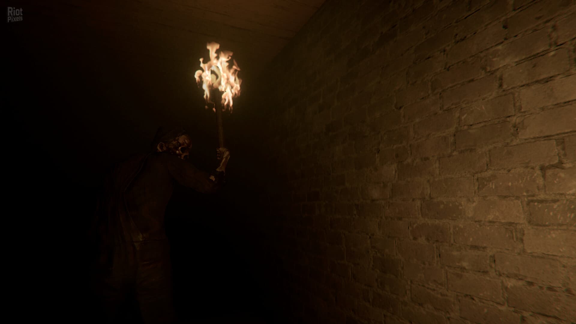 Night Grove screenshot 6