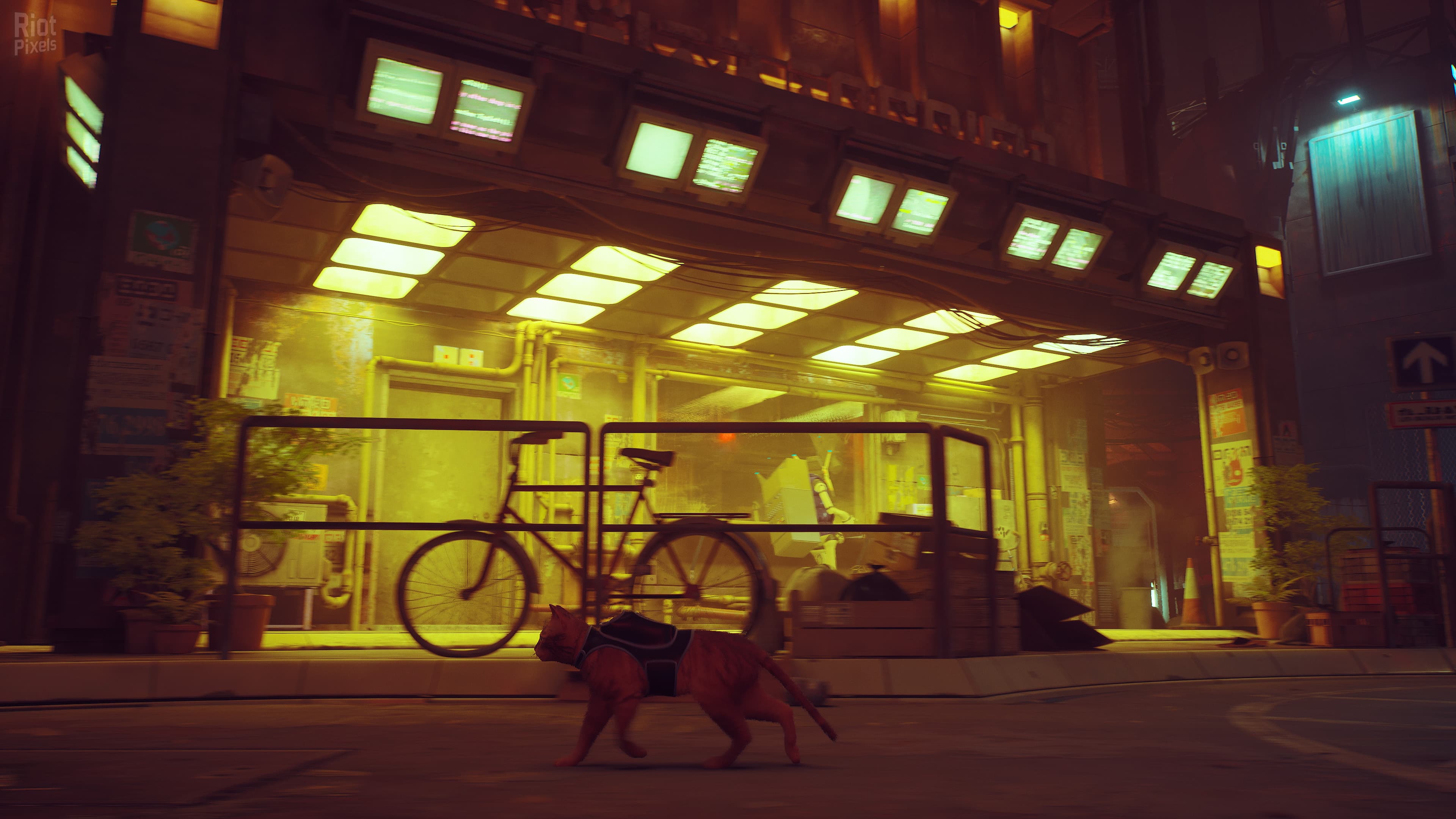 Stray: Soundtrack Edition – v1.5#368 Revision 26632 (Patch 4) + Bonus OST + Windows 7 Fix screenshot 2