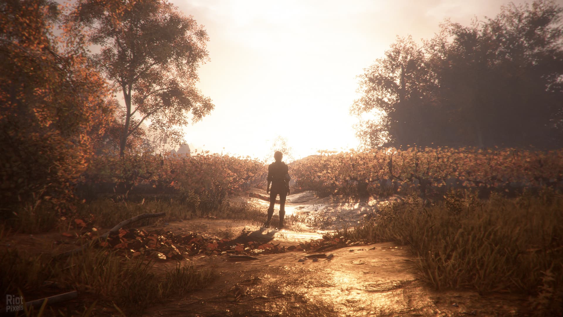 A Plague Tale: Innocence + Coats of Arms DLC screenshot 1