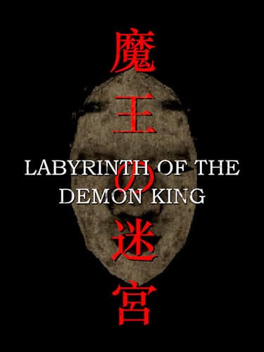 Labyrinth of the Demon King