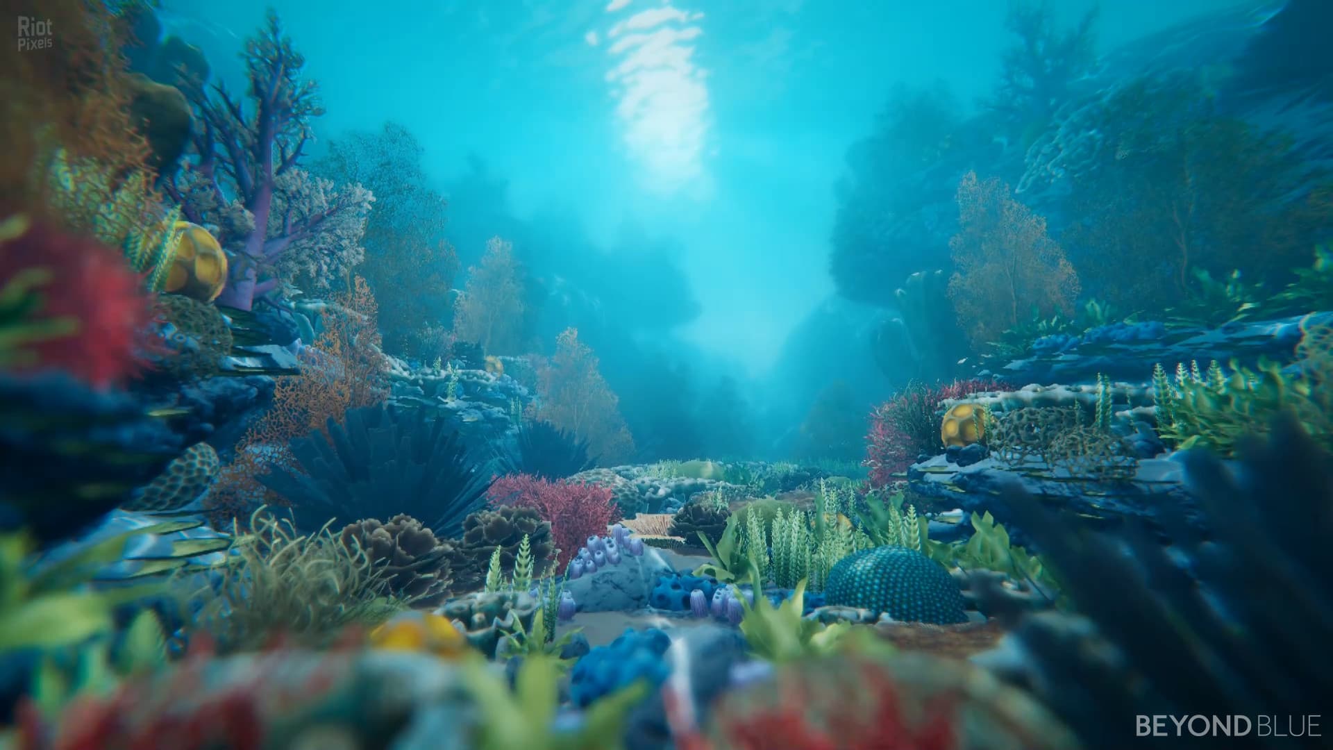 Beyond Blue – v1.7.17798 screenshot 1