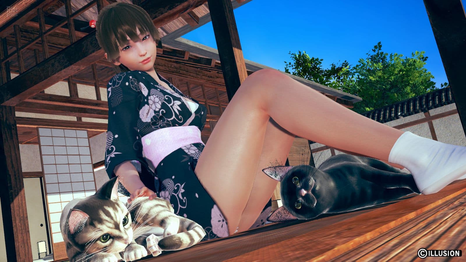 Honey Select 2: Libido – v1.2.3 / Compressed BetterRepack DX R16 + Sideloader Modpack screenshot 2