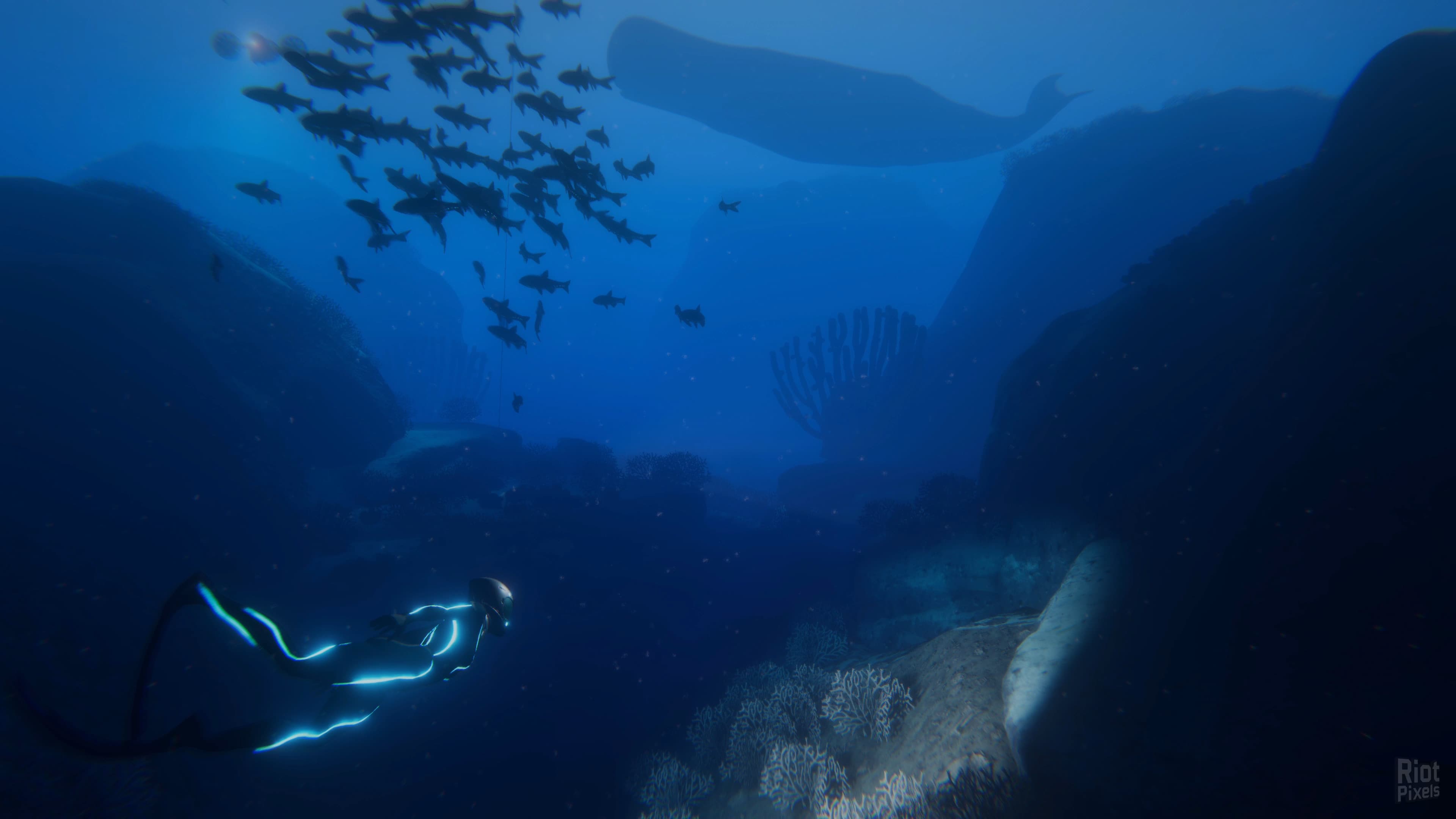 Beyond Blue – v1.7.17798 screenshot 5