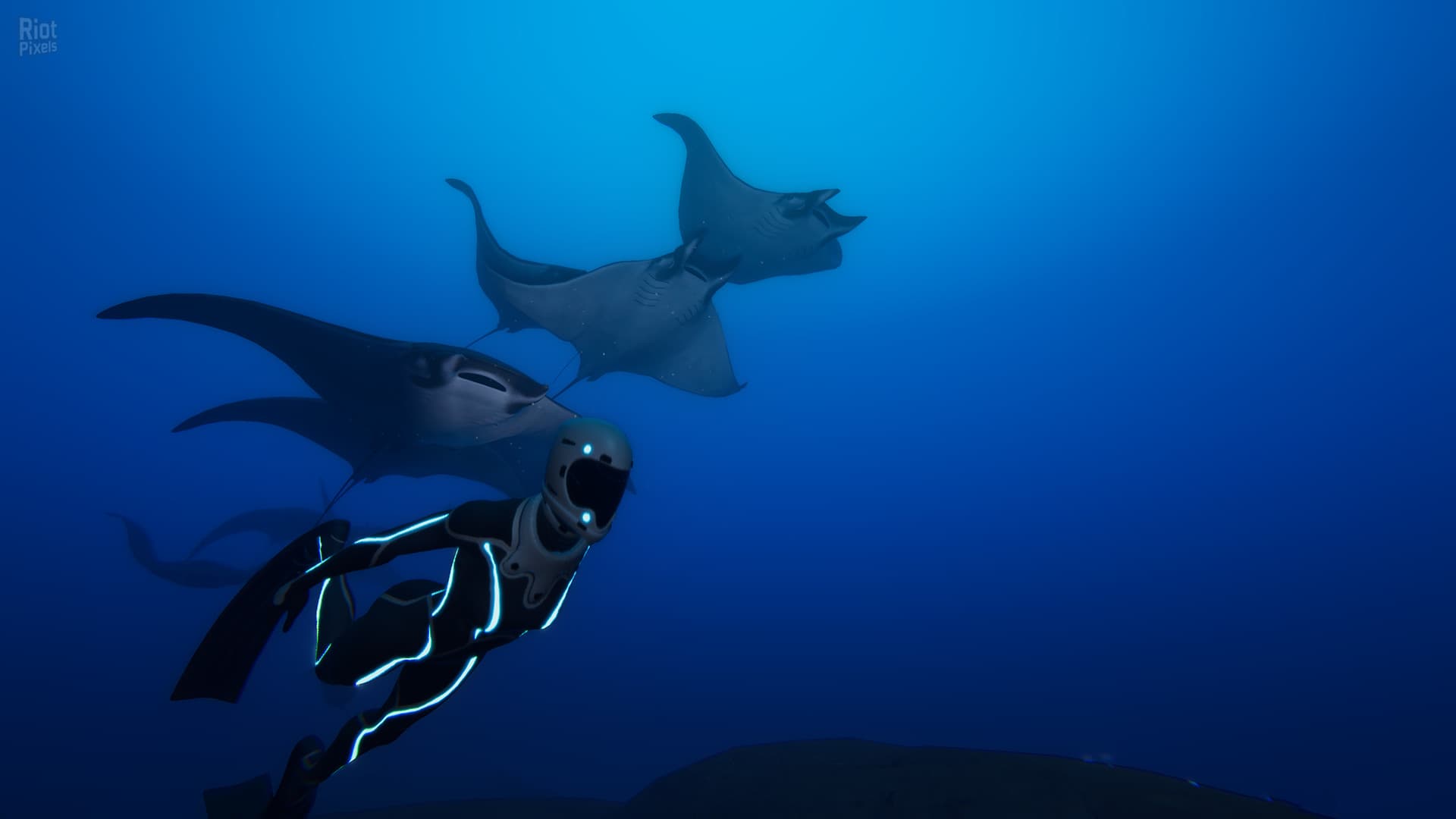 Beyond Blue – v1.7.17798 screenshot 6